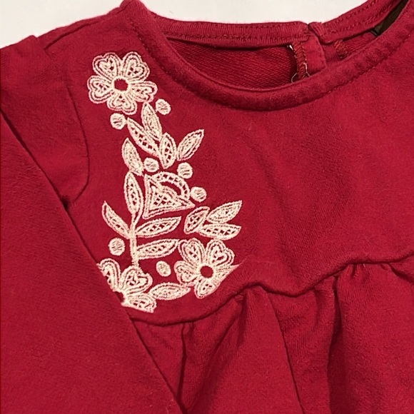 TEA Collection AILSA Embroidered Long Sleeve Dress Infant 6-9mo Floral Cotton - Picture 2 of 8